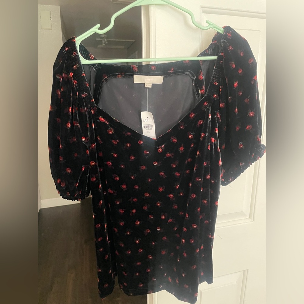 Loft velvet top